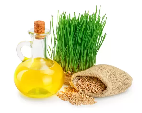 Wheat Microbe Oil ZXCVBNMQWT Cream like